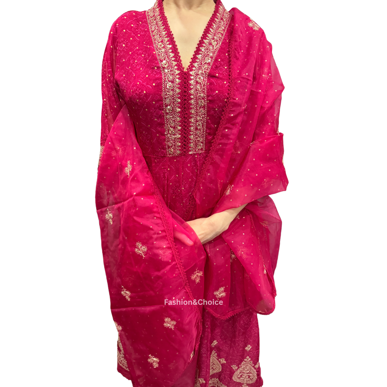 Ethereal Charm – Organza Anarkali Set with Jari Work and Embroidered Dupatta