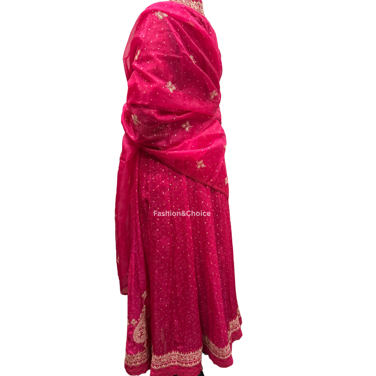 Ethereal Charm – Organza Anarkali Set with Jari Work and Embroidered Dupatta