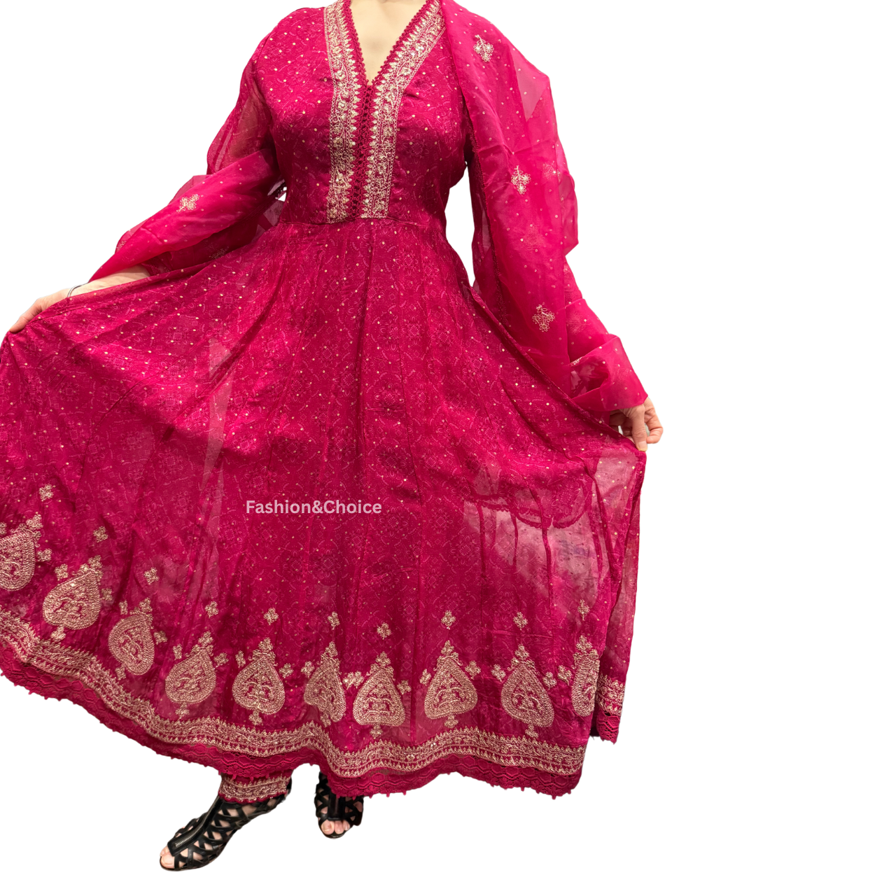 Ethereal Charm – Organza Anarkali Set with Jari Work and Embroidered Dupatta